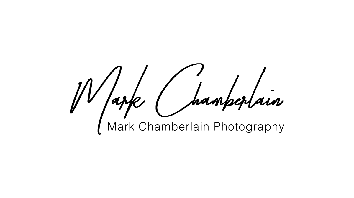 nev1961 logo